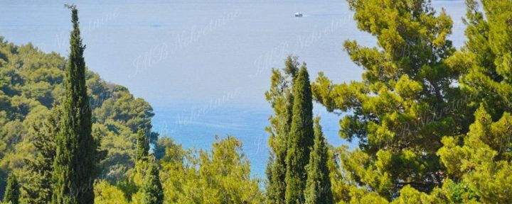 Hiša Naprodaj - Dubrovačko-neretvanska Dubrovnik - foto 2/32
