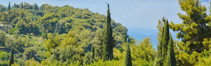 Hiša Naprodaj - Dubrovačko-neretvanska Dubrovnik - foto 4/32