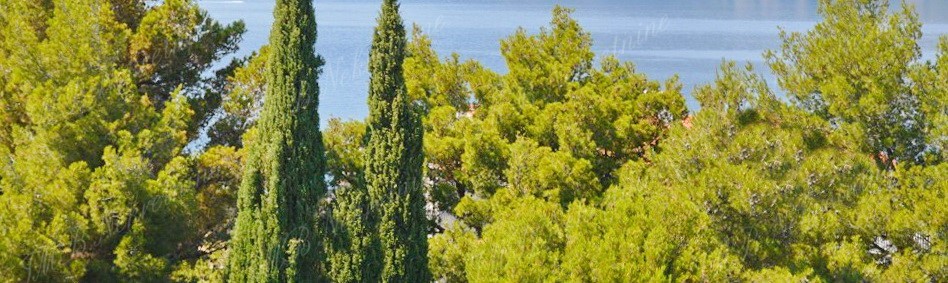 Hiša Naprodaj - DUBROVAČKO-NERETVANSKA  Dubrovnik