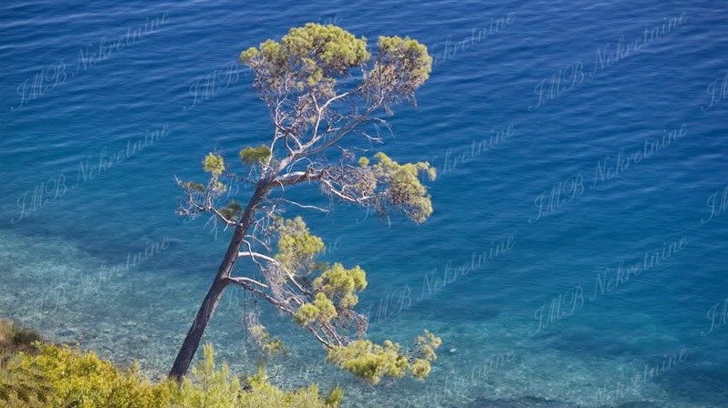 Casa In vendita - DUBROVAČKO-NERETVANSKA  DUBROVNIK 