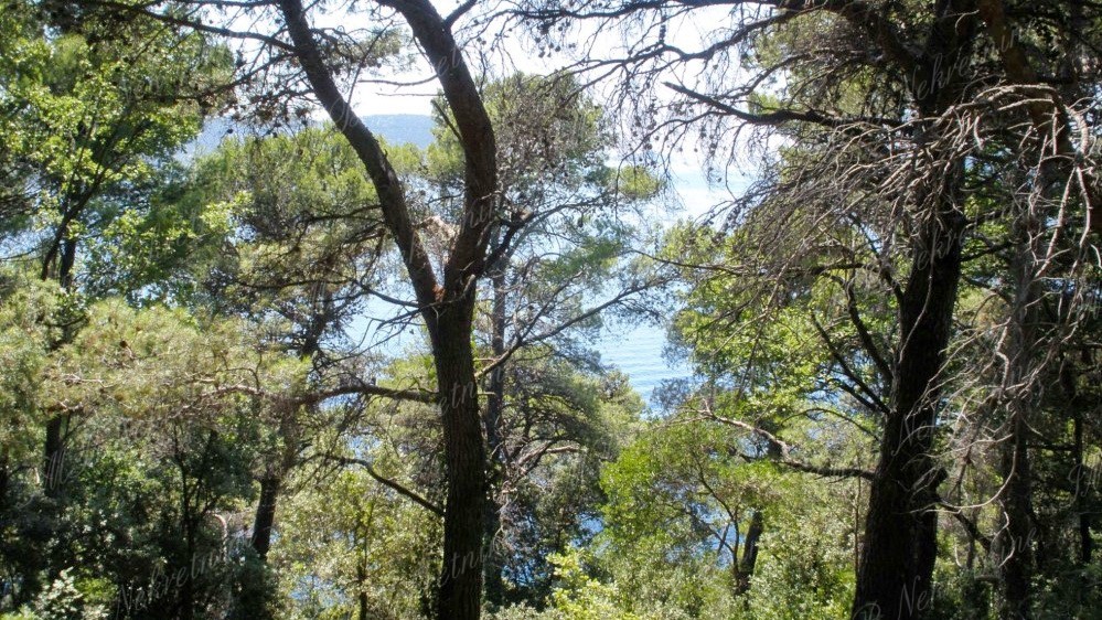 Zemljište Na prodaju - DUBROVAČKO-NERETVANSKA  DUBROVNIK 