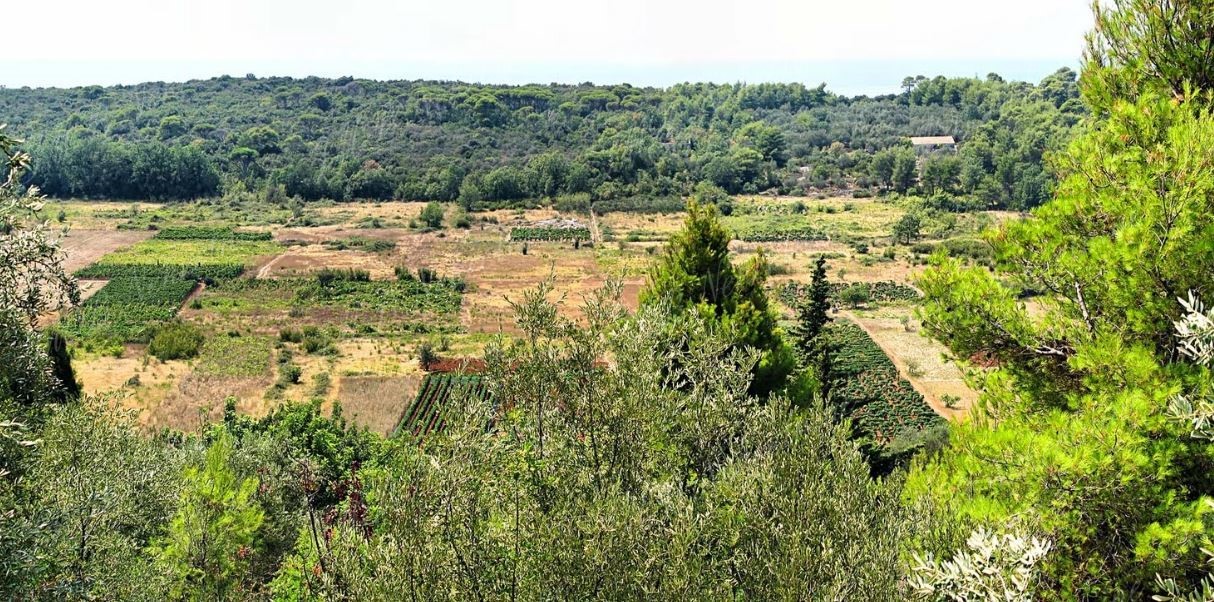 Land For sale - DUBROVAČKO-NERETVANSKA  DUBROVNIK 