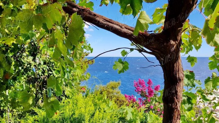 Grundstück zu verkaufen 29 m² – Dubrovnik