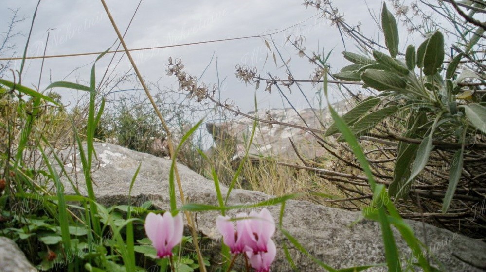 Zemljište Na prodaju - DUBROVAČKO-NERETVANSKA  DUBROVNIK 