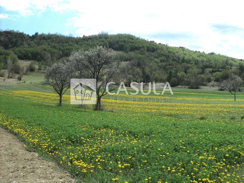 Terrain À vendre - ISTARSKA  BUZET 