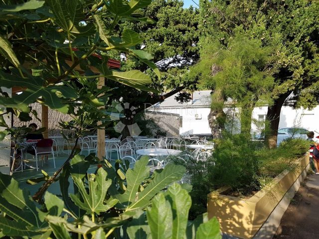 Hiša Naprodaj - Ličko-senjska Senj - foto 5/25