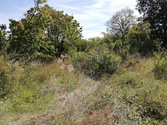 Działka na sprzedaż 5605 m² – Matulji