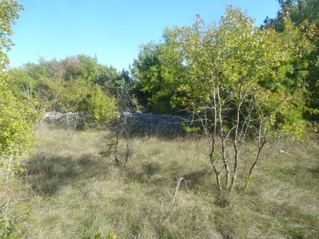 Land For sale - ISTARSKA  SVETVINČENAT 