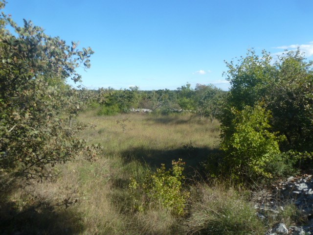 Land For sale - ISTARSKA  SVETVINČENAT 