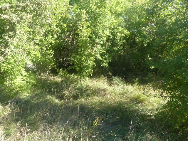 Land For sale - ISTARSKA  SVETVINČENAT 