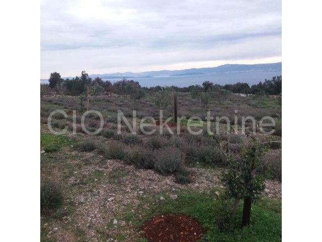 Pozemek na prodej 13500 m² – Supetar