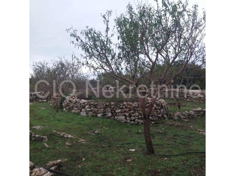 Land For sale - SPLITSKO-DALMATINSKA  BRAČ 