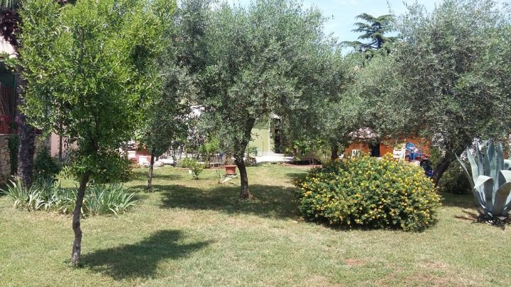 Kuća na prodaju 100 m² – Novigrad