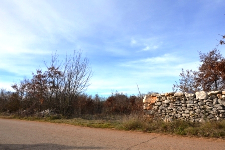 Terrain À vendre