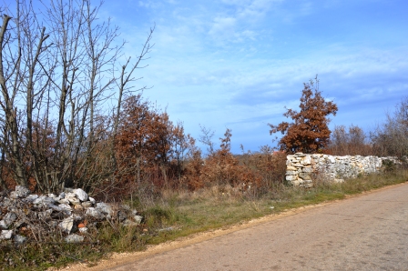 Terrain À vendre - ISTARSKA  SVETVINČENAT 