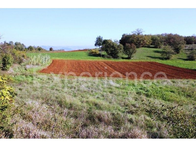 Terrain À vendre - Istarska Motovun - foto 1/9