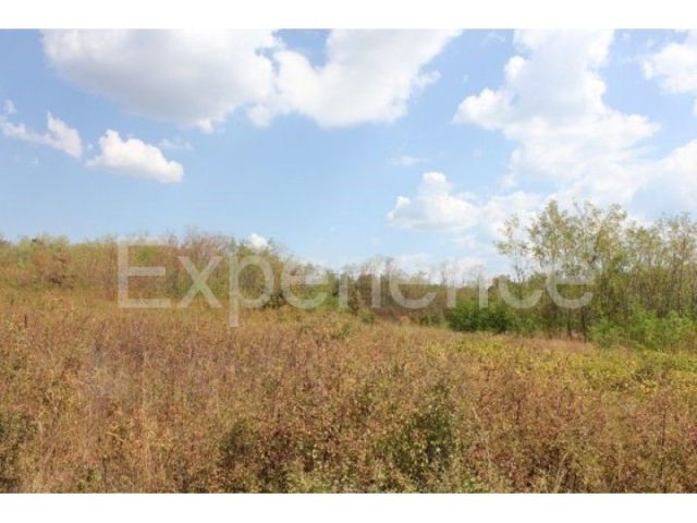 Pozemek na prodej 13080 m² – Kaštelir