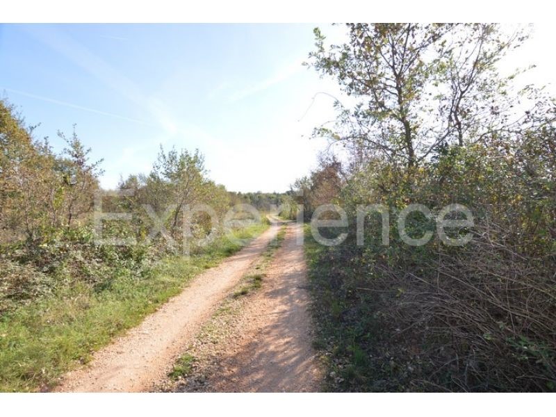 Land For sale - ISTARSKA  VIŠNJAN 