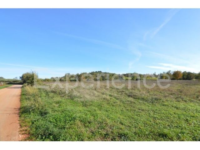 Pozemok na predaj 6100 m² – Bačva
