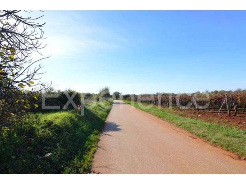 Land For sale - ISTARSKA  VIŠNJAN 