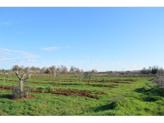 Zemljište na prodaju 7628 m² – Tar