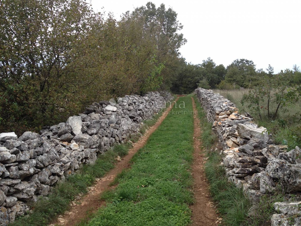 Terrain À vendre - ISTARSKA  SVETVINČENAT 