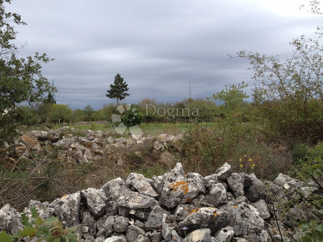 Terrain À vendre - ISTARSKA  Svetvinčenat