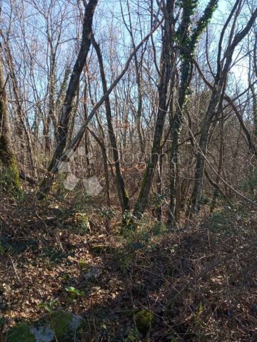 Działka na sprzedaż 48524 m² – Boljevići