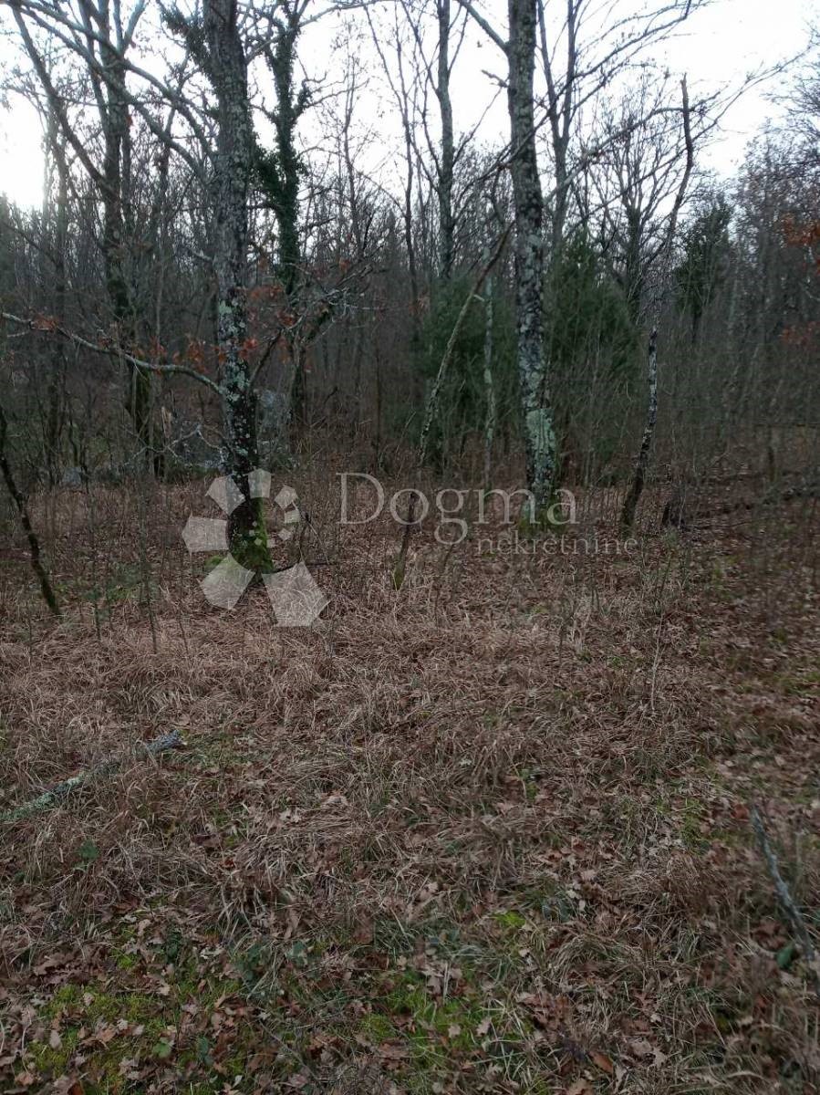 Land For sale - ISTARSKA  KRŠAN 