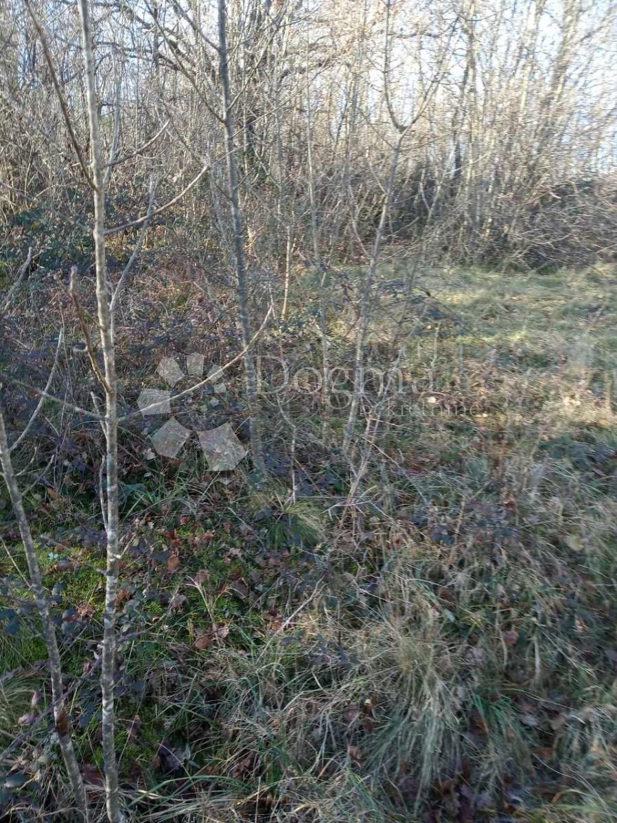 Land For sale - ISTARSKA  KRŠAN 