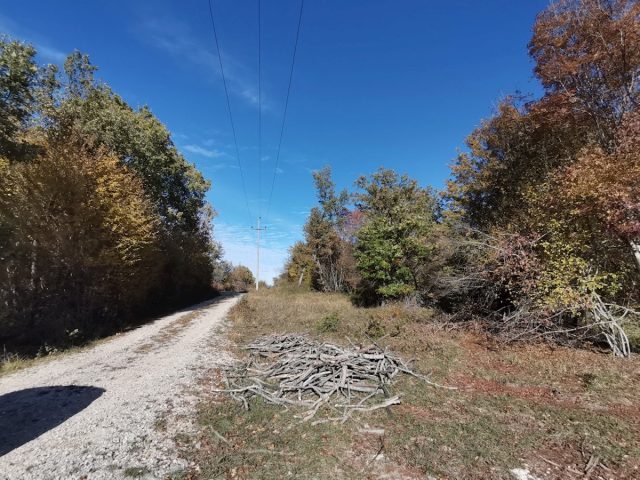 Parcela Naprodaj - Istarska Oprtalj - foto 4/5