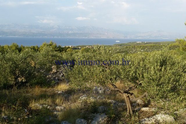 Pozemek Na prodej - Splitsko-dalmatinska Supetar - foto 2/2