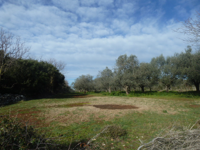 Terrain À vendre - ISTARSKA  VODNJAN 