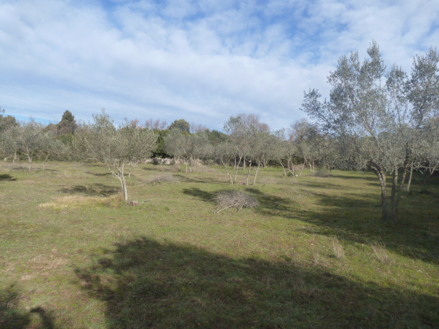 Land For sale - ISTARSKA  VODNJAN 