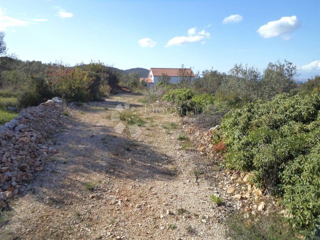 Terrain À vendre - Zadarska Ugljan - foto 4/11