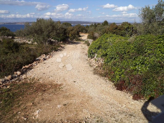 Terrain À vendre - Zadarska Ugljan - foto 5/11