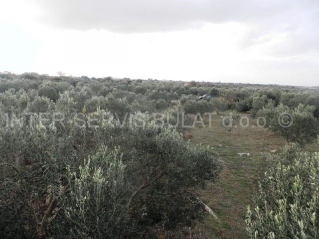 Terreno in vendita 1500 m² – Zaton