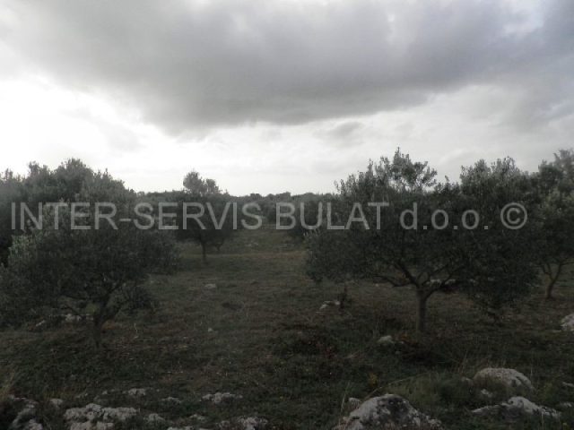 Land For sale - šibensko-kninska šibenik - foto 5/7