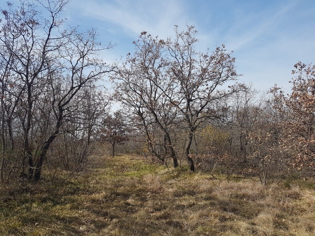 Casa In vendita - ISTARSKA  VODNJAN 