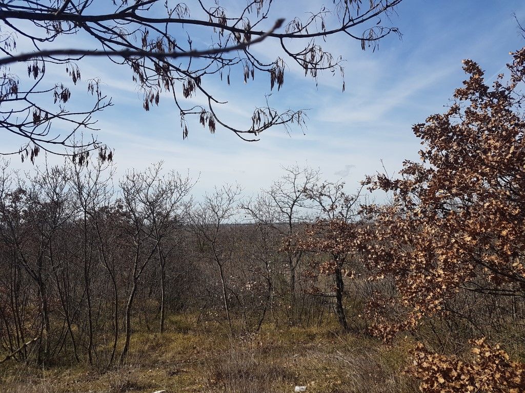 Hiša Naprodaj - ISTARSKA  Vodnjan