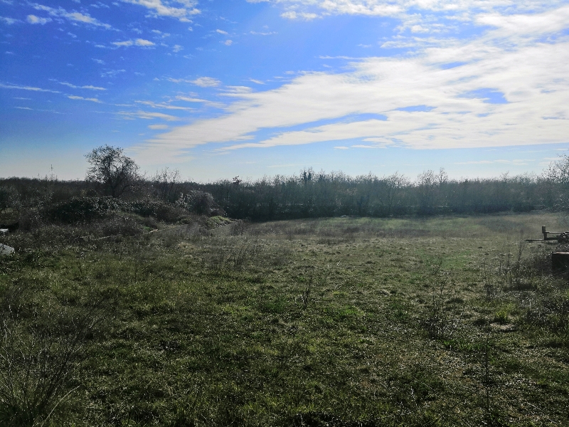 Land For sale - ISTARSKA  MARČANA 