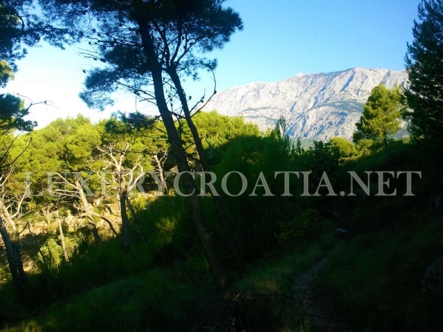 Land For sale - SPLITSKO-DALMATINSKA  PODGORA 