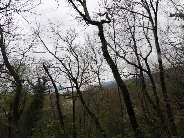 Terreno in vendita 2838 m² – Matulji