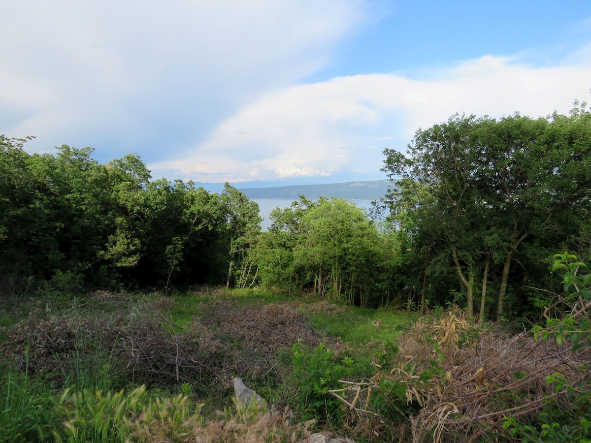 Terreno In vendita - ISTARSKA  KRŠAN 