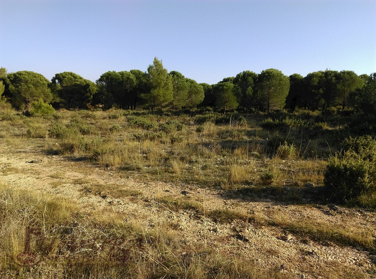 Terreno In vendita - ZADARSKA  PAKOŠTANE 