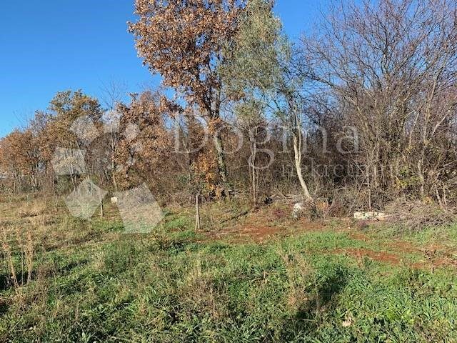 Grundstück Zu verkaufen - Istarska Tar-vabriga - foto 2/8