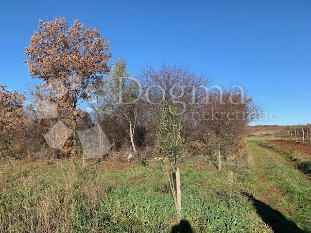 Grundstück Zu verkaufen - Istarska Tar-vabriga - foto 3/8