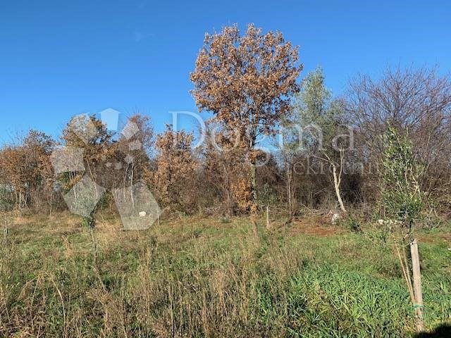 Grundstück Zu verkaufen - Istarska Tar-vabriga - foto 4/8