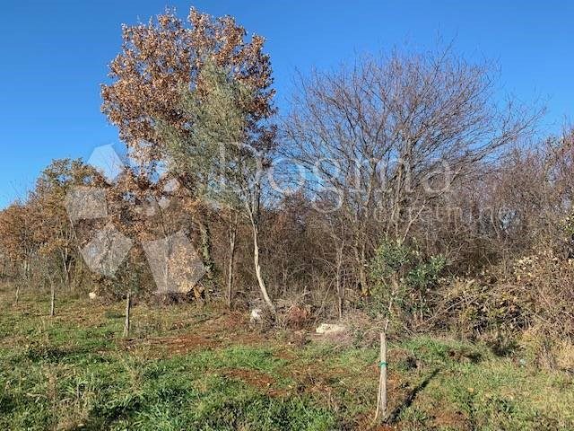 Grundstück Zu verkaufen - Istarska Tar-vabriga - foto 5/8
