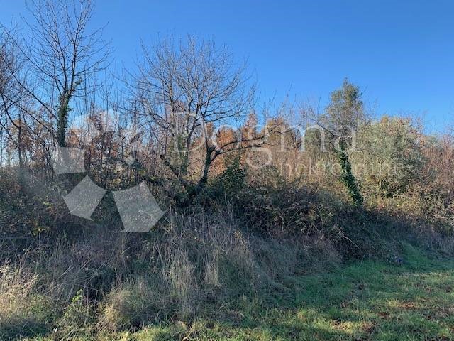 Land For sale - ISTARSKA  TAR-VABRIGA 